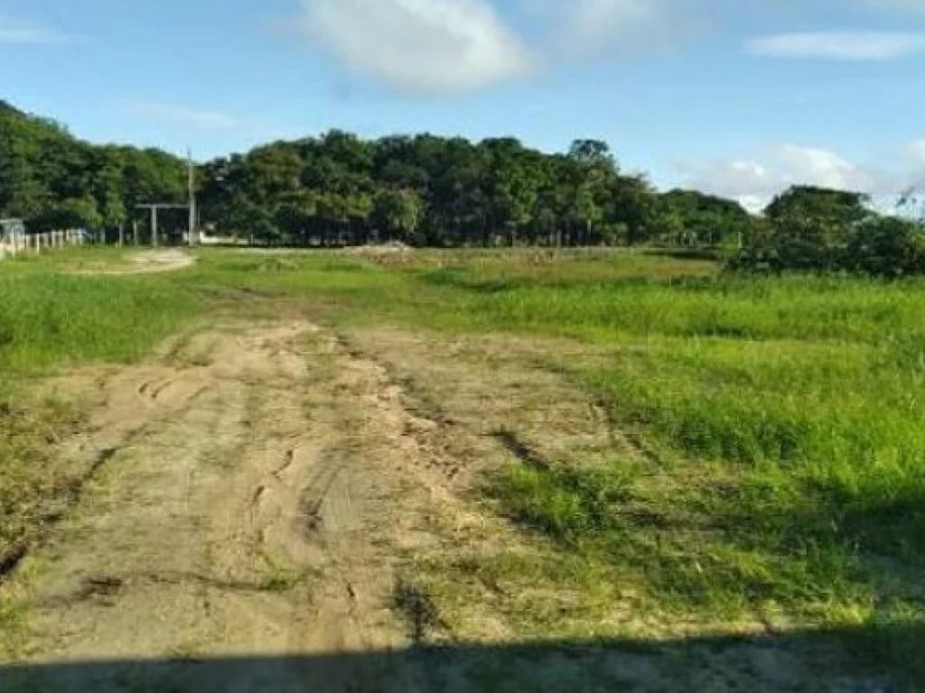 Área com 12.030 m² com Construção de 215 m² - Comunidade do Aninga - Parintins - AM - foto 4