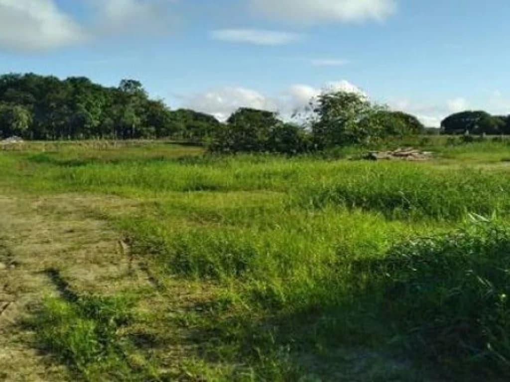 Área com 12.030 m² com Construção de 215 m² - Comunidade do Aninga - Parintins - AM - foto 5