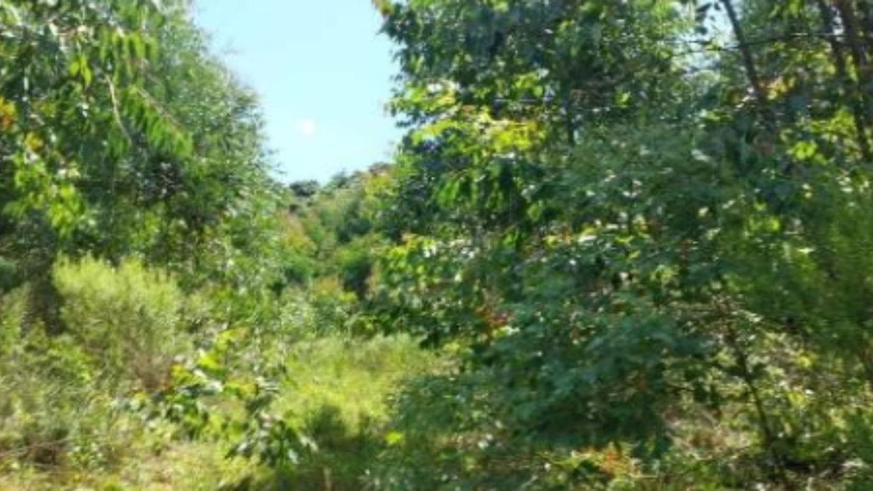 Terreno na Zona Rural - Vila Maria/RS - foto 2