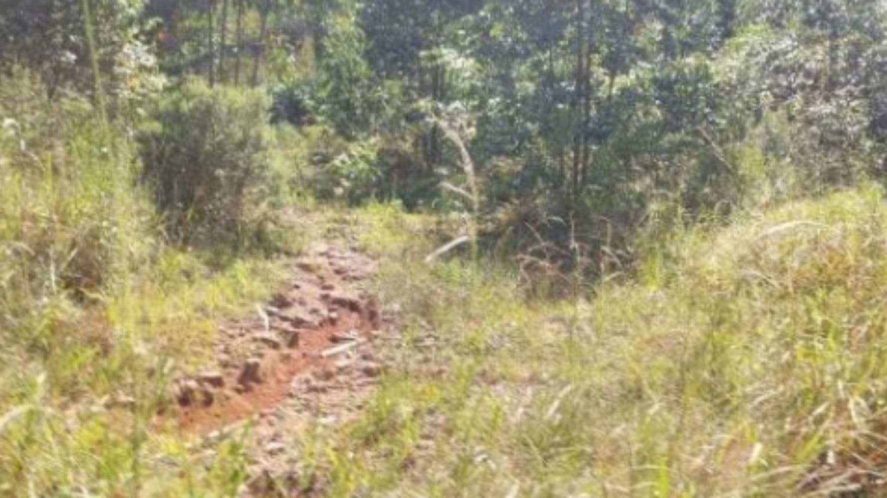 Terreno na Zona Rural - Vila Maria/RS - foto 4