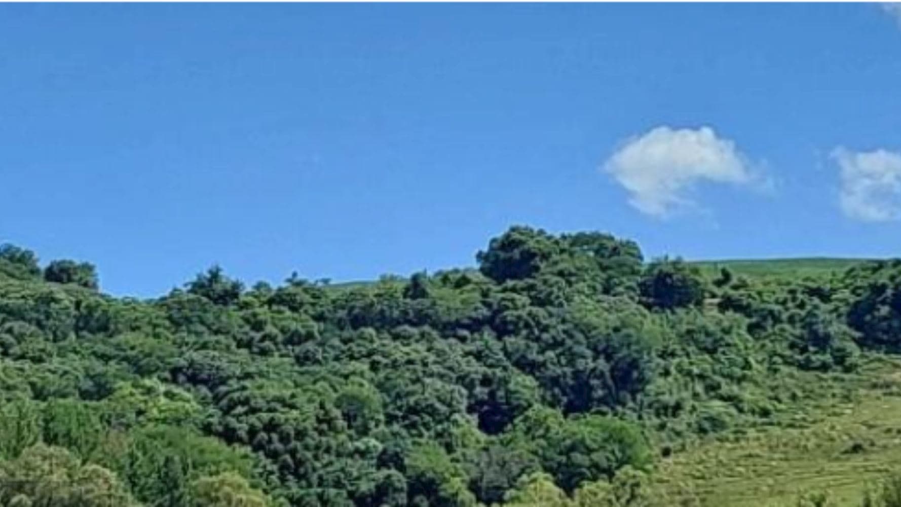 Terreno na Zona Rural - Vila Maria/RS - foto 5