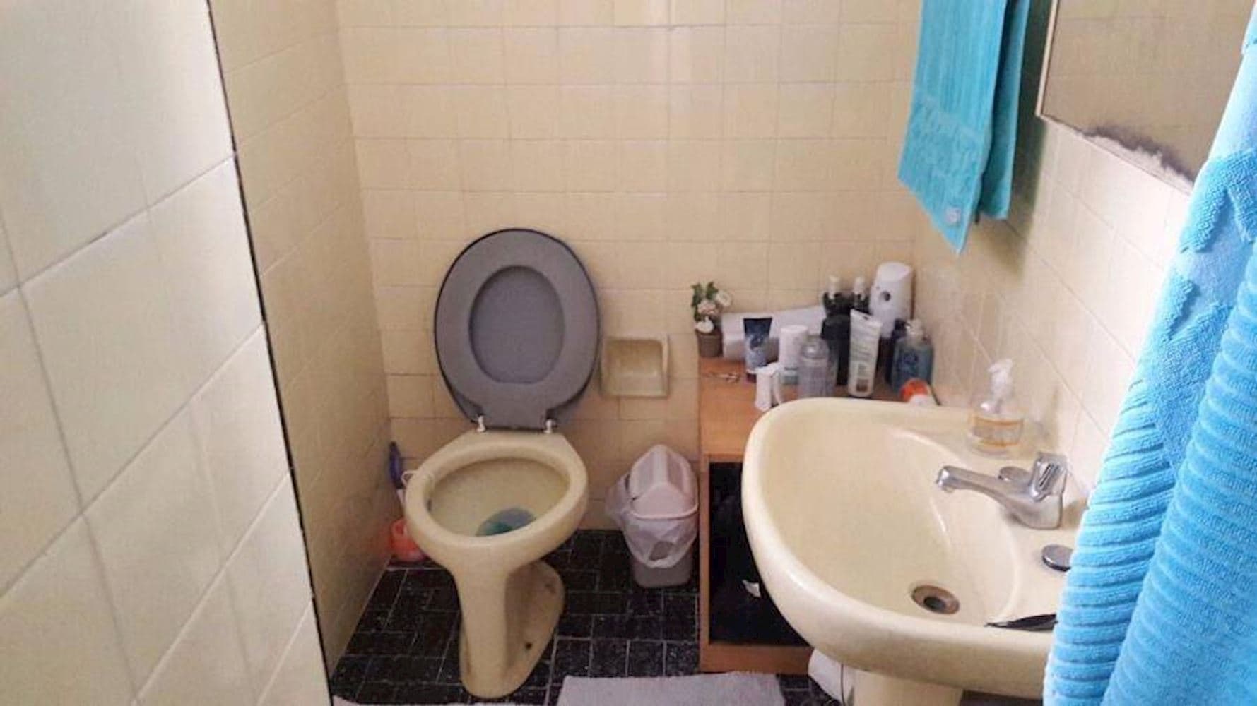 Apartamento - Sampaio - Rio de Janeiro/RJ - foto 5