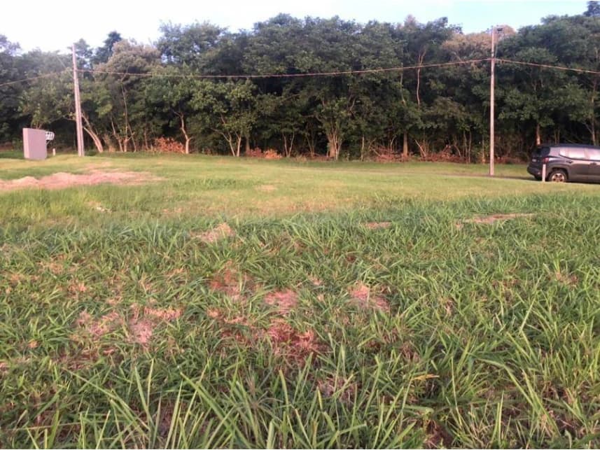 Terreno à venda em leilão - foto 2