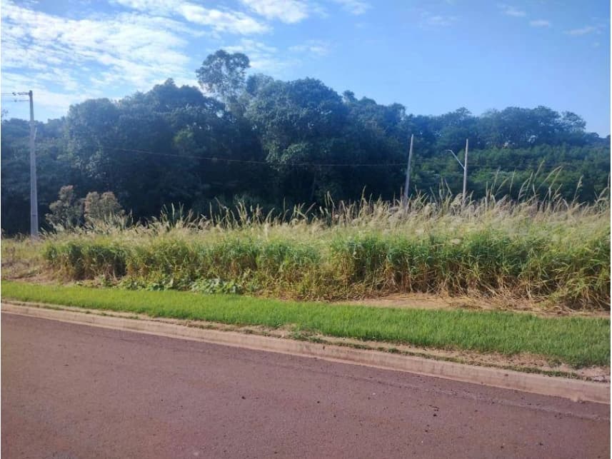 Terreno à venda em leilão - foto 2
