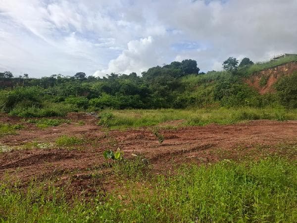 GRANJA SAO BENEDITO
