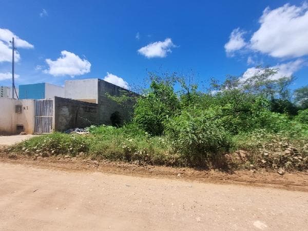 JD GUAJARA MIRIM
