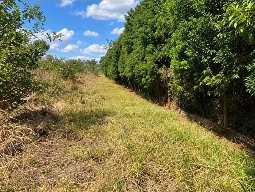 Terreno à venda em leilão