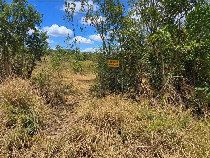 Terreno à venda em leilão - foto 2