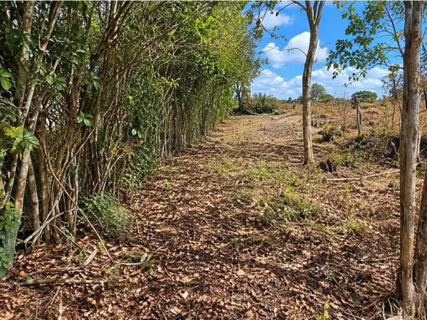 Terreno à venda em leilão - foto 3