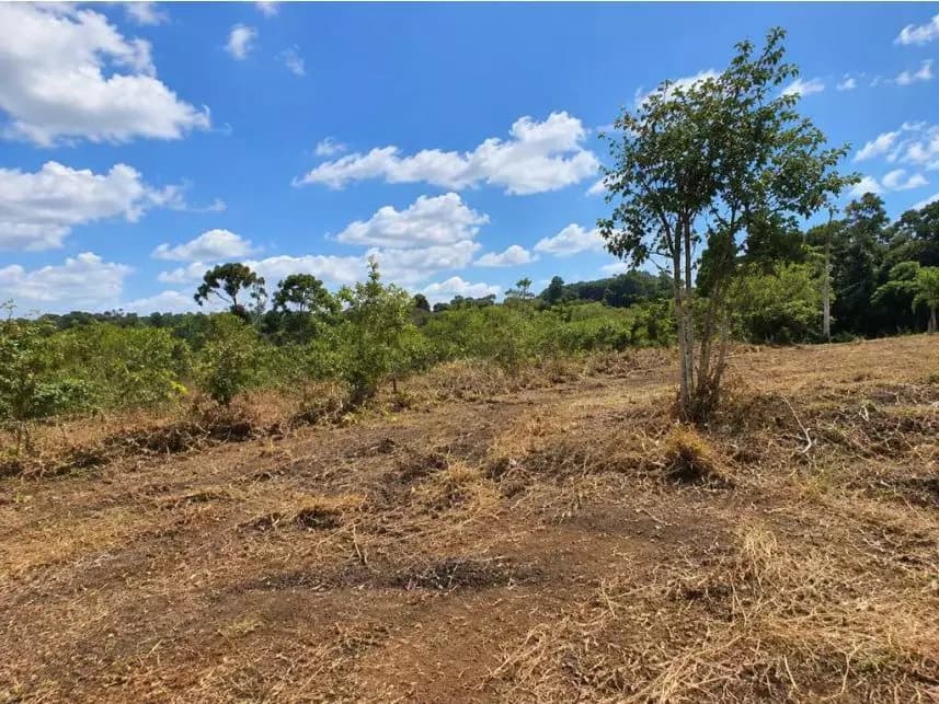Terreno à venda em leilão - foto 4