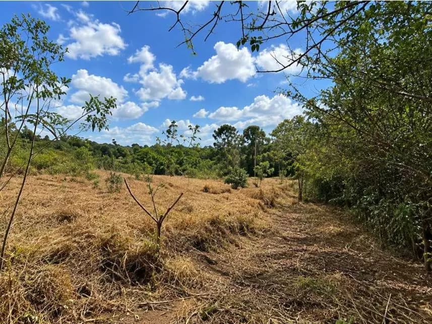Terreno à venda em leilão - foto 5