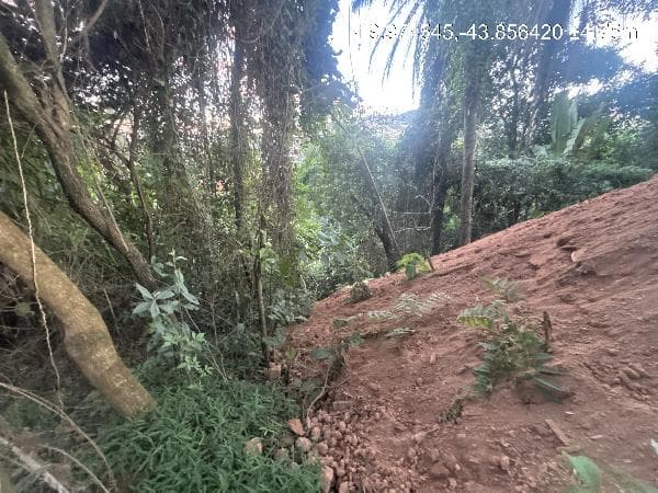 NOVA LIMA - BOA VISTA