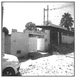 SAO GONCALO - COELHO