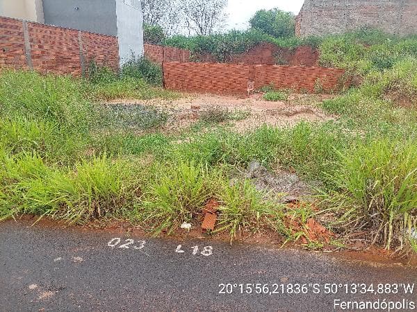 FERNANDOPOLIS - JARDIM VITORIA