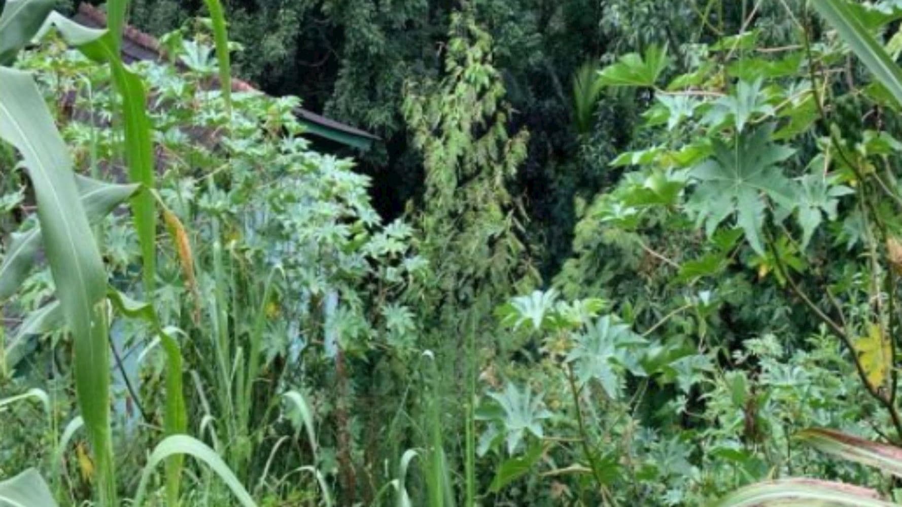 Terreno no Bairro Flor da Serra em Joaçaba/SC - foto 3