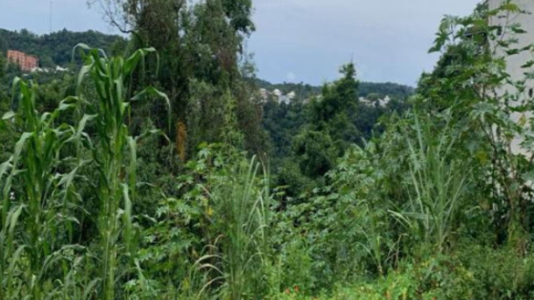 Terreno no Bairro Flor da Serra em Joaçaba/SC - foto 5