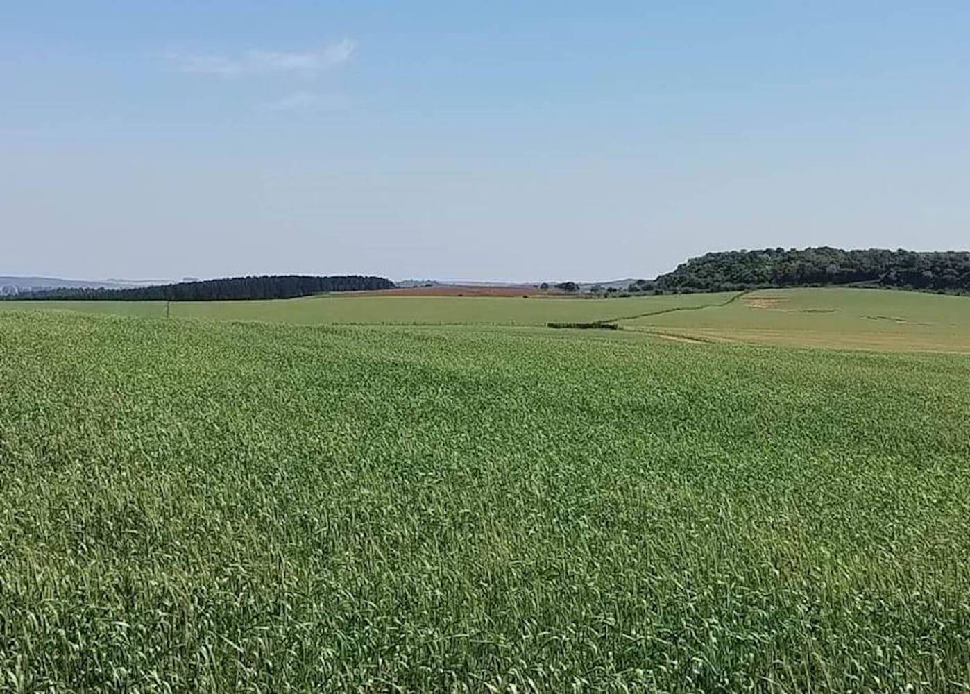 Área Rural na Zona Rural de Maçambara/RS - foto 2