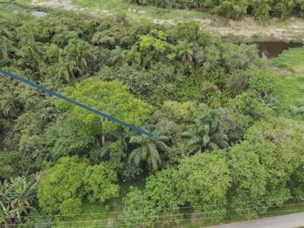 Terreno 250 m² (Lt. 23 da Qd. 11) - Nova Peruíbe - Peruíbe - SP - foto 5
