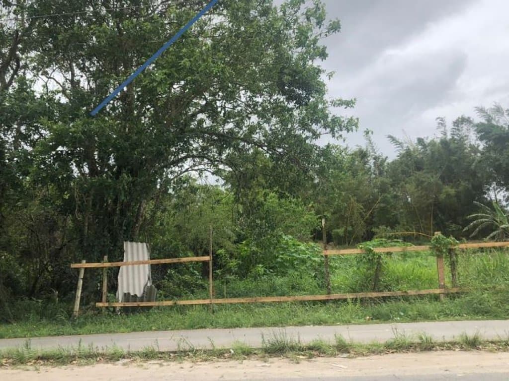 Terreno 250 m² (Lt. 24 da Qd. 11) - Nova Peruíbe - Peruíbe - SP - foto 4