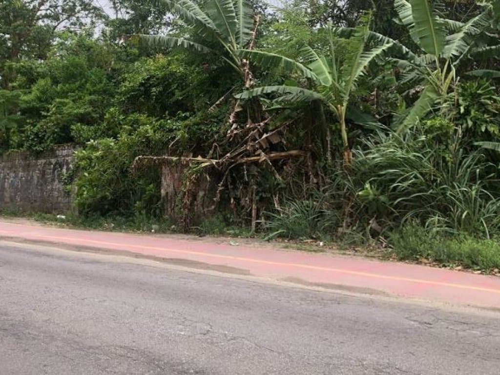 Terreno 250 m² (Lt. 24 da Qd. 11) - Nova Peruíbe - Peruíbe - SP - foto 5