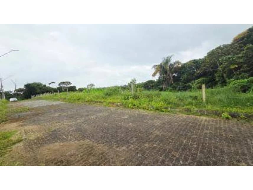Terreno à venda em leilão - foto 3