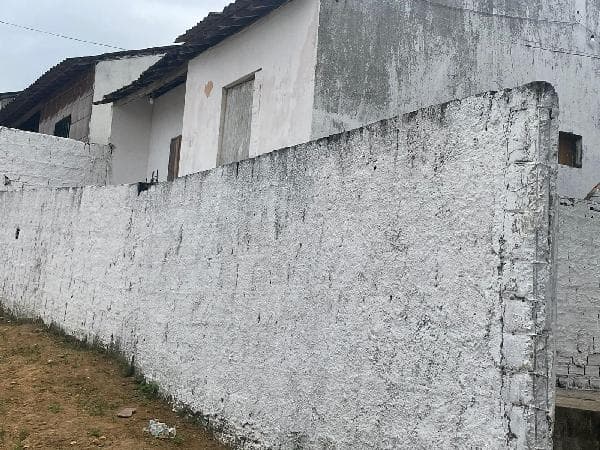 LOT NOVA CHA DE ALEGRIA