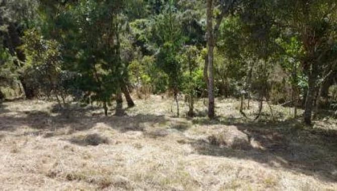 Terreno em Condomínio 1380 m² (Lt. 03 - Qd. 18) - Alto da Boa Vista - Campos do Jordão - SP