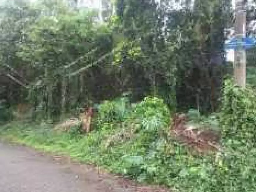 Terreno à venda em leilão