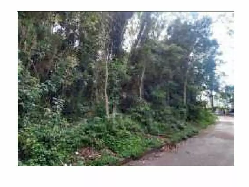 Terreno à venda em leilão - foto 2