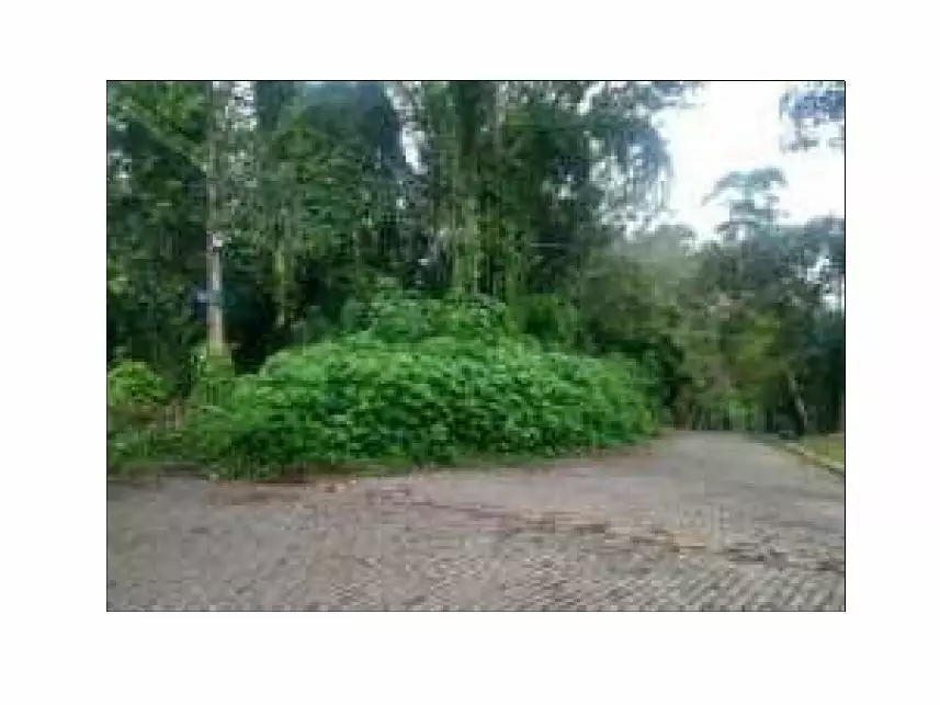 Terreno à venda em leilão - foto 3