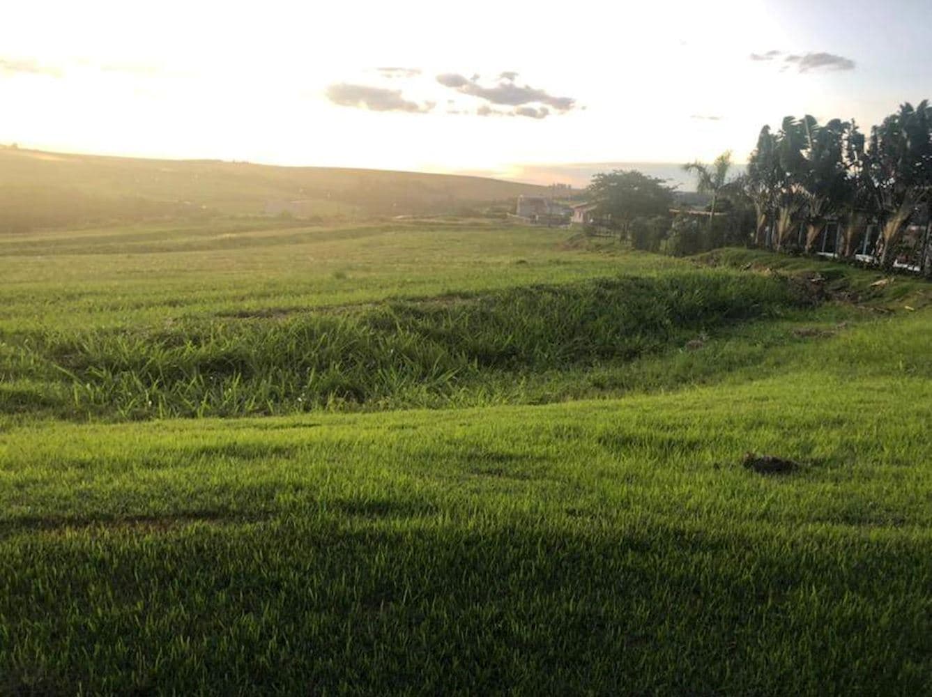 Terreno - Residencial Ecovillas Do Lago - Sertanópolis/PR - foto 4