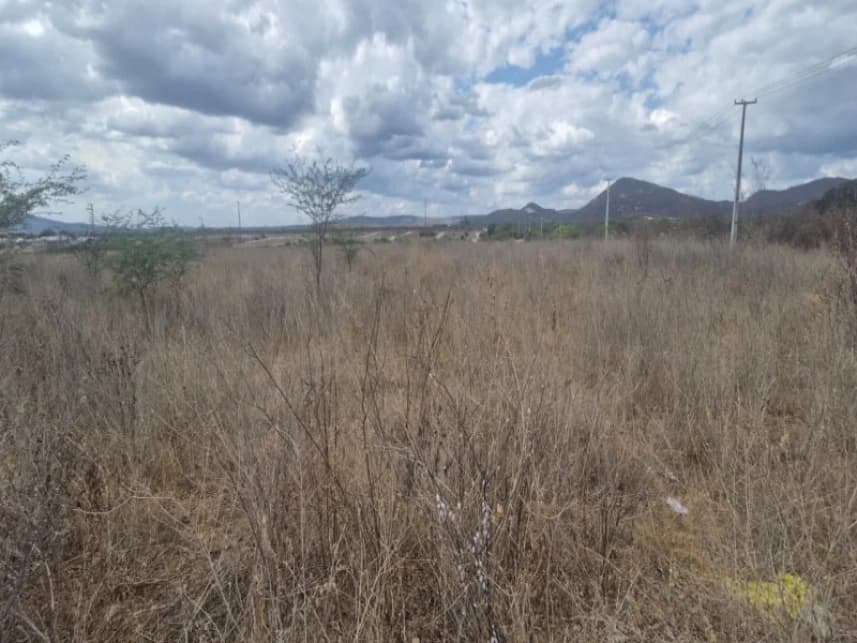Terreno à venda em leilão