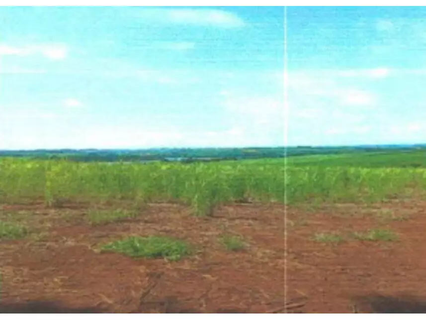 Terreno à venda em leilão - foto 3