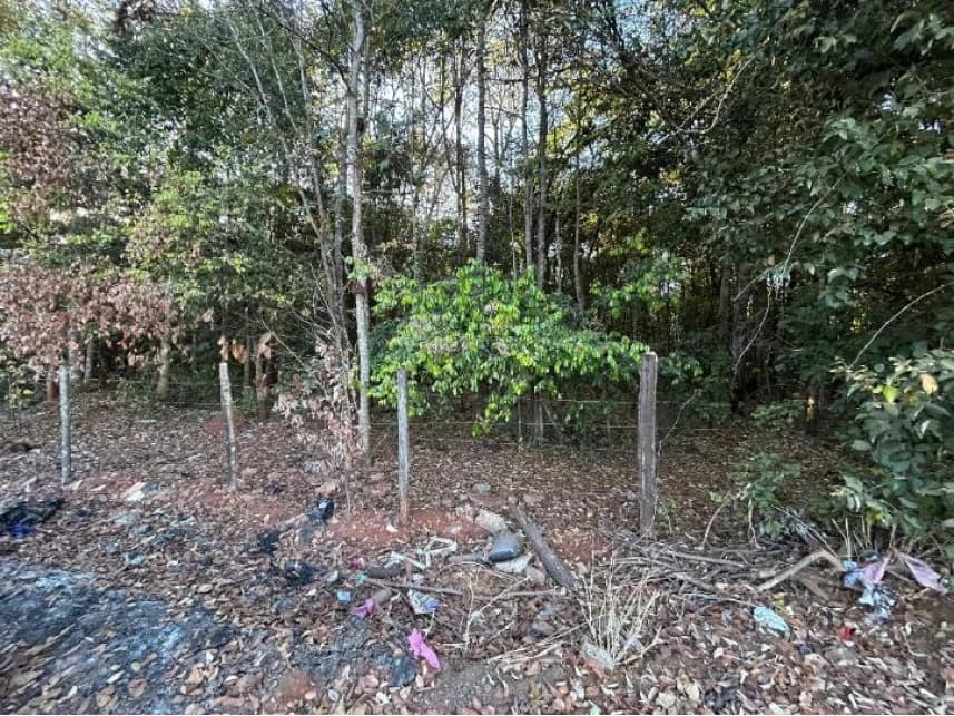 Terreno à venda em leilão
