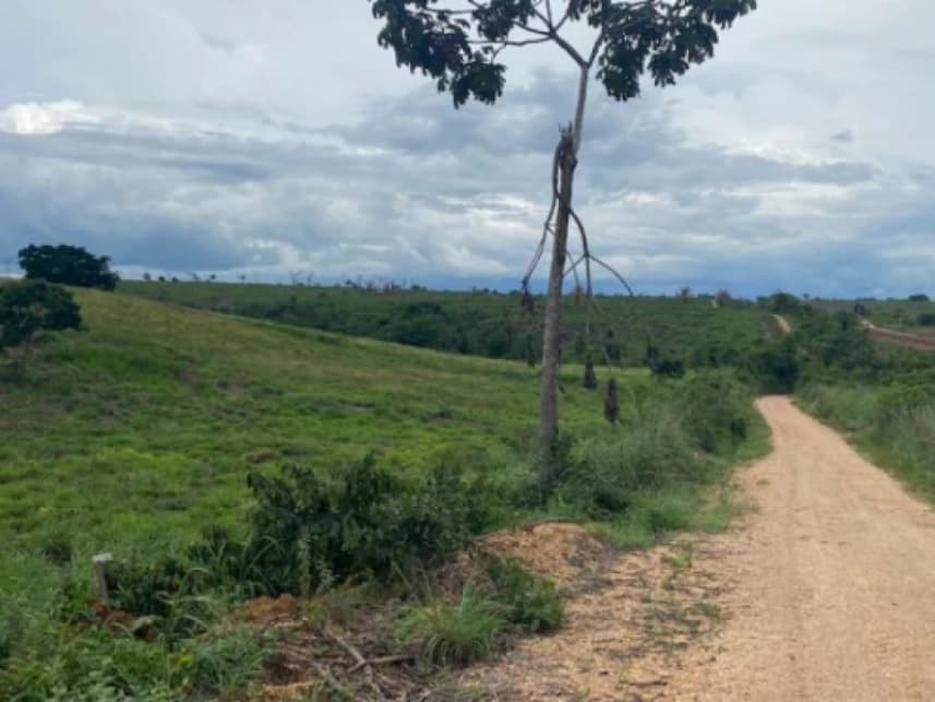 Fazenda à venda em leilão