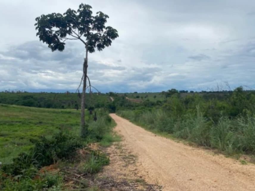 Fazenda à venda em leilão - foto 2