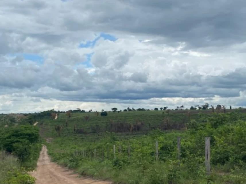 Fazenda à venda em leilão - foto 3