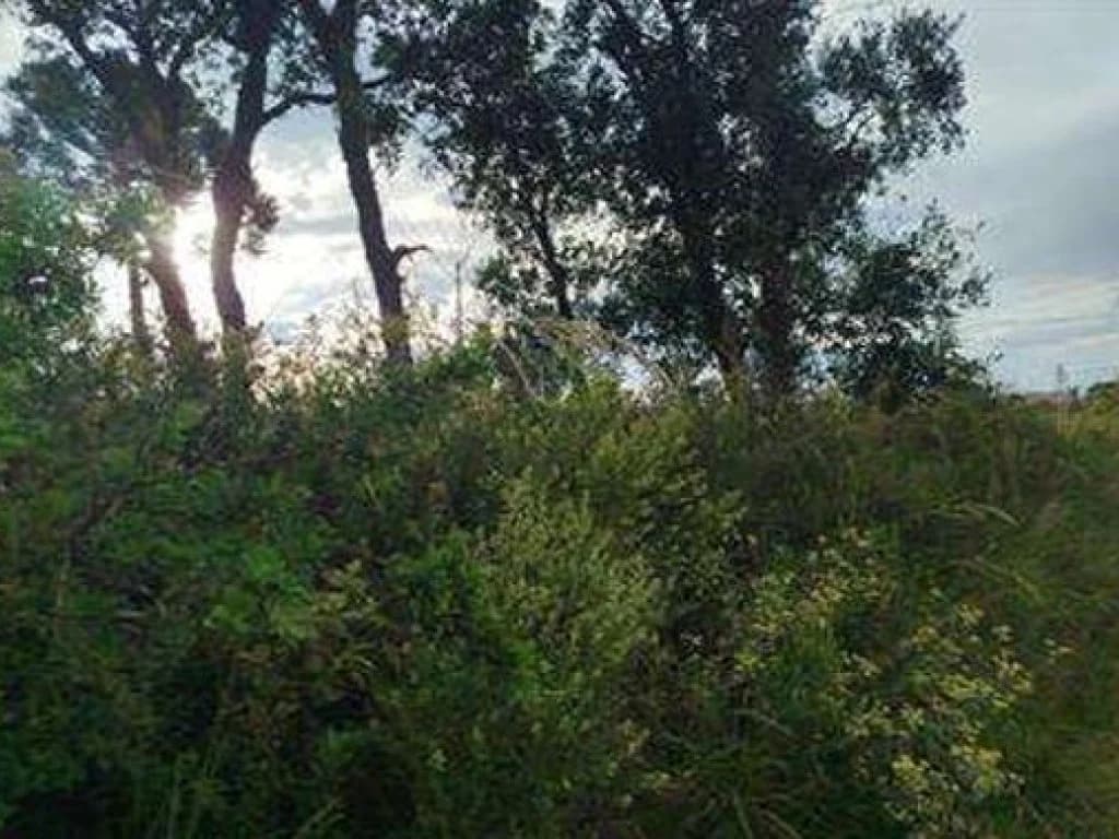 Imóvel Rural com Área de 194.459 m² (Rancho Santa Luzia) - Cerro Negro - SC - foto 2