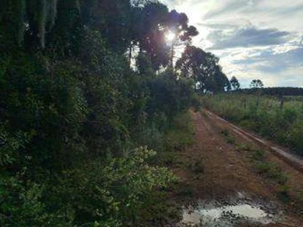 Imóvel Rural com Área de 194.459 m² (Rancho Santa Luzia) - Cerro Negro - SC - foto 4