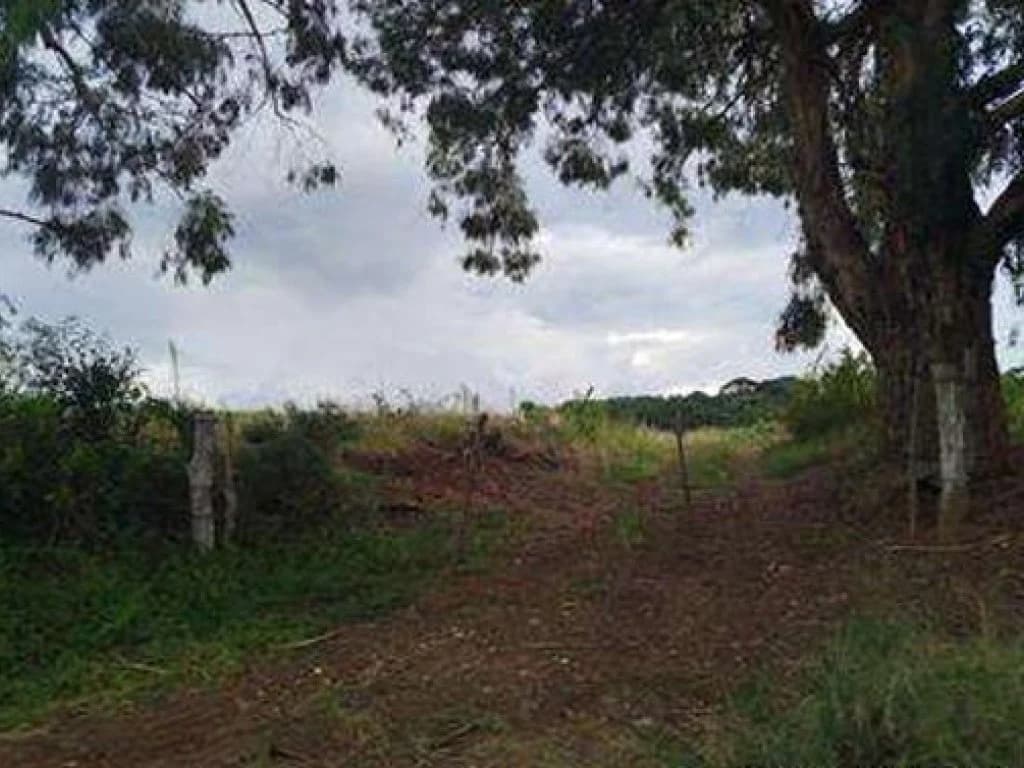 Imóvel Rural com Área de 194.459 m² (Rancho Santa Luzia) - Cerro Negro - SC - foto 5