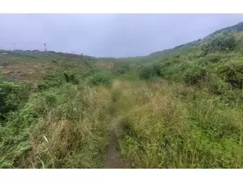 Terreno à venda em leilão - foto 2
