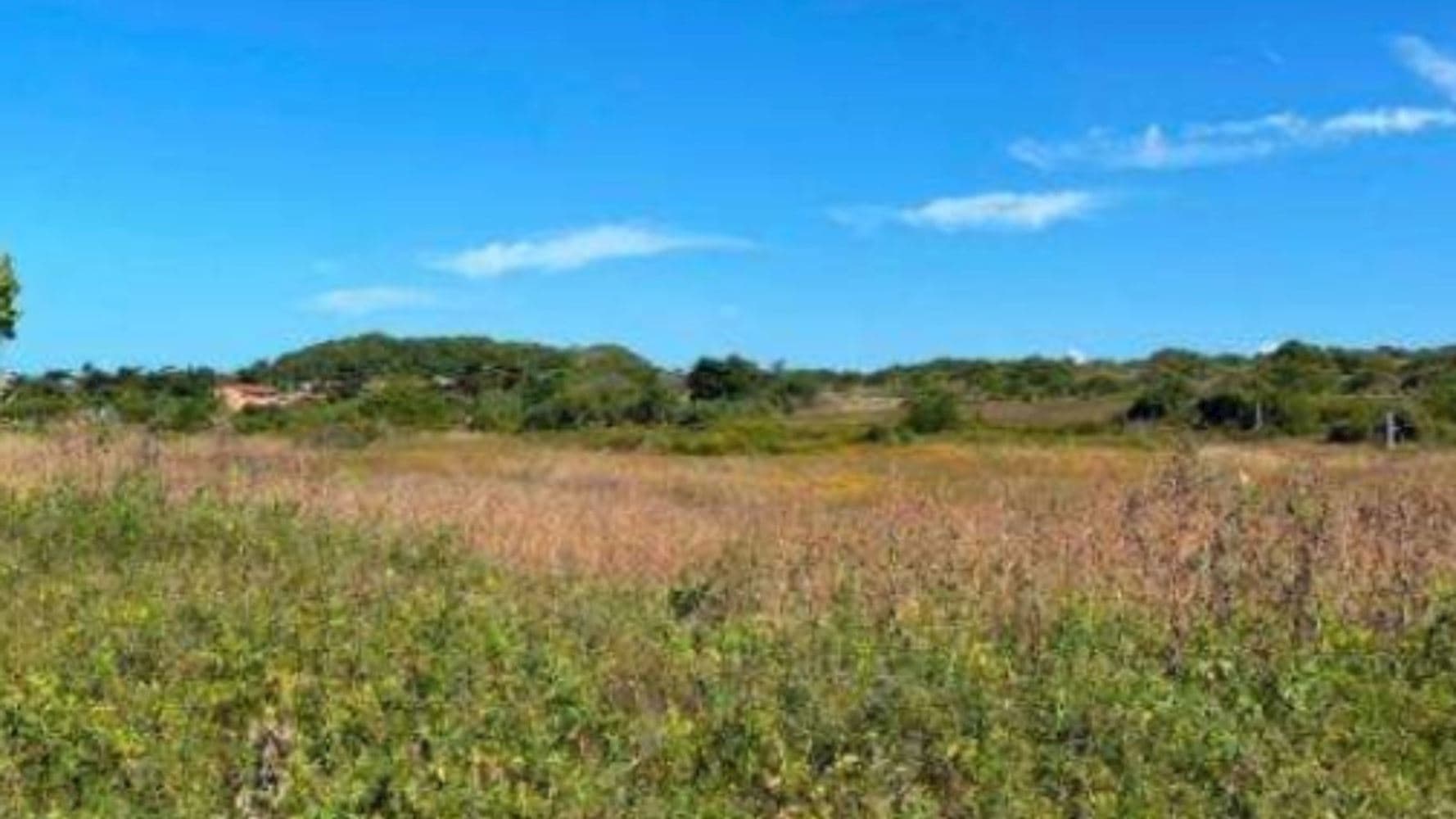 Terreno em Antônio Diogo - Fortaleza/CE - foto 3