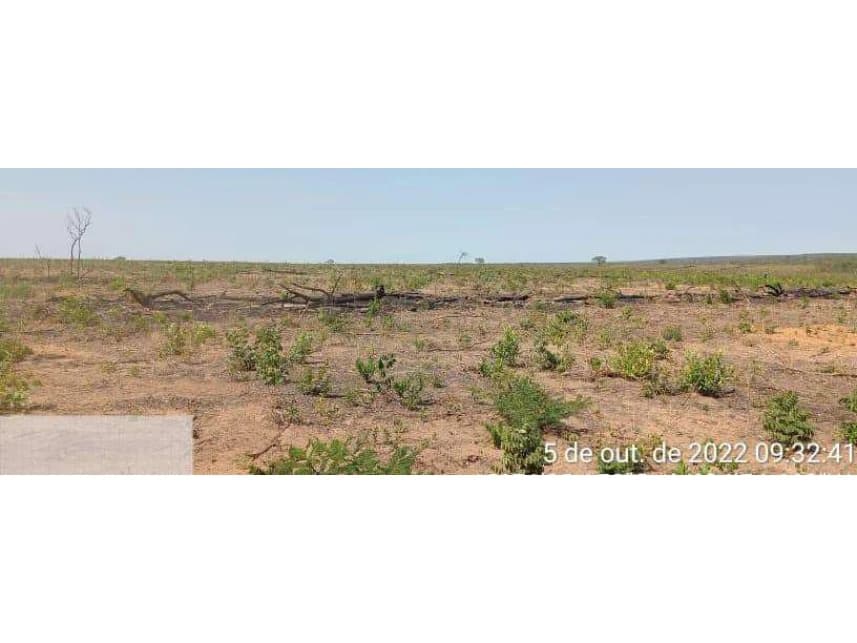 Área Rural à venda em leilão - foto 2