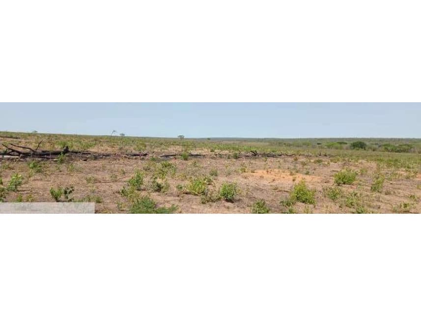 Área Rural à venda em leilão - foto 4