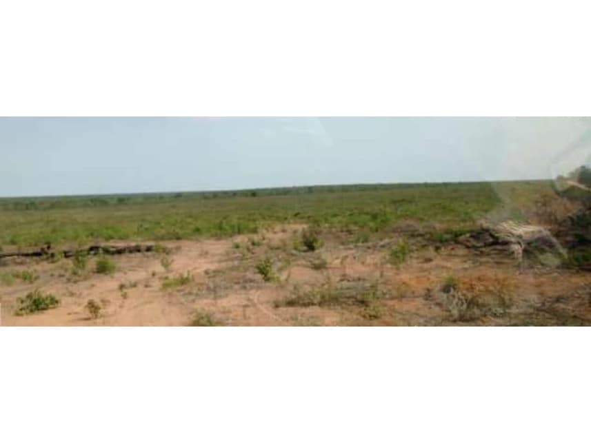 Área Rural à venda em leilão - foto 5