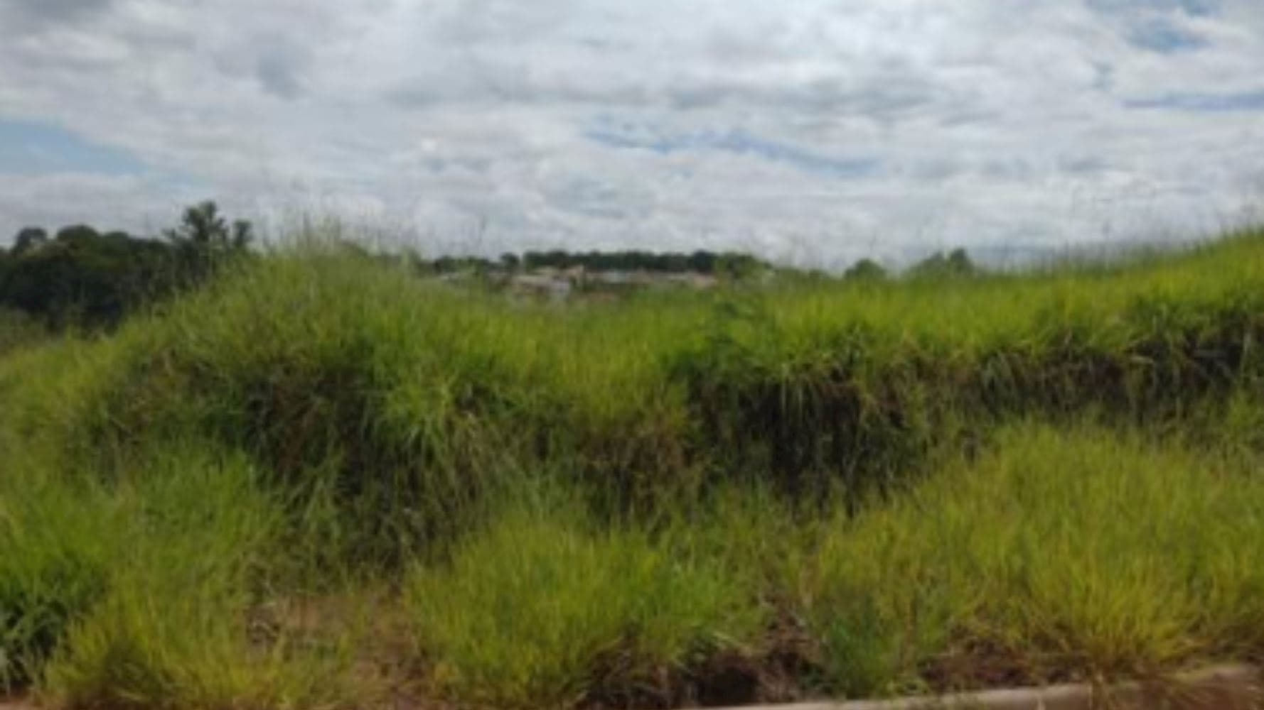 Terreno no Royal Residence em Dracena/SP - foto 3