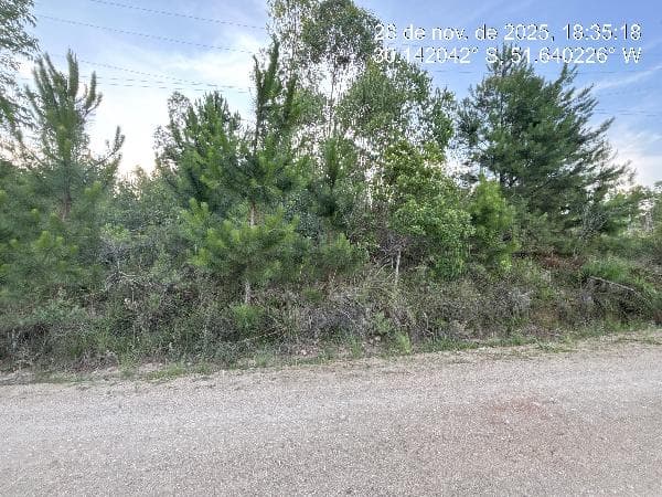 LOT RURAL ELDORADO