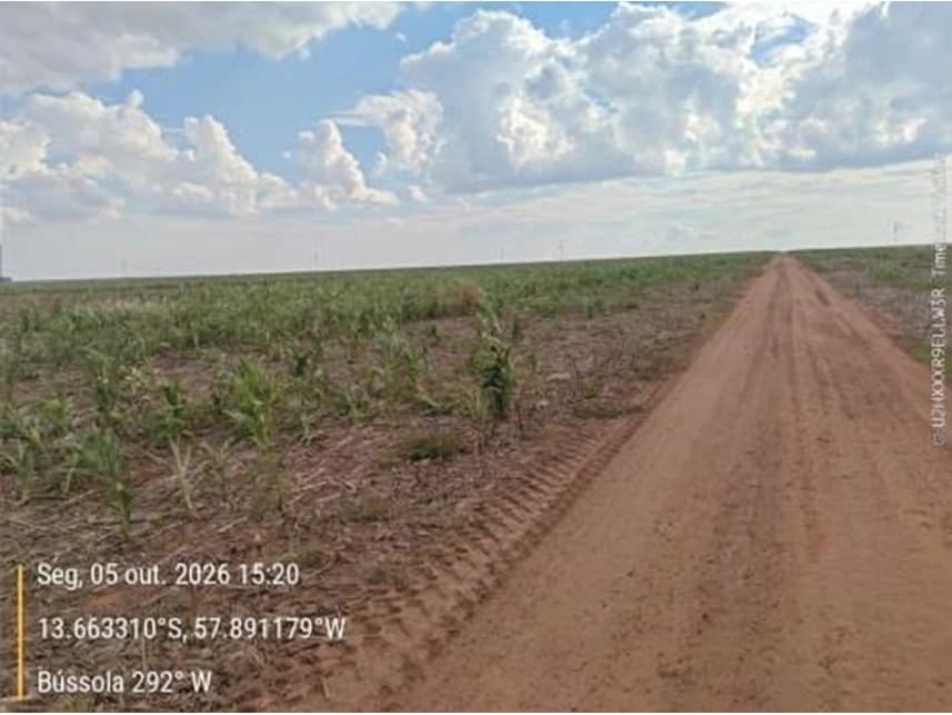 Área Rural à venda em leilão - foto 4
