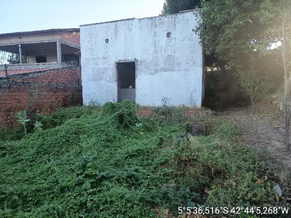 TERESINA - COLORADO