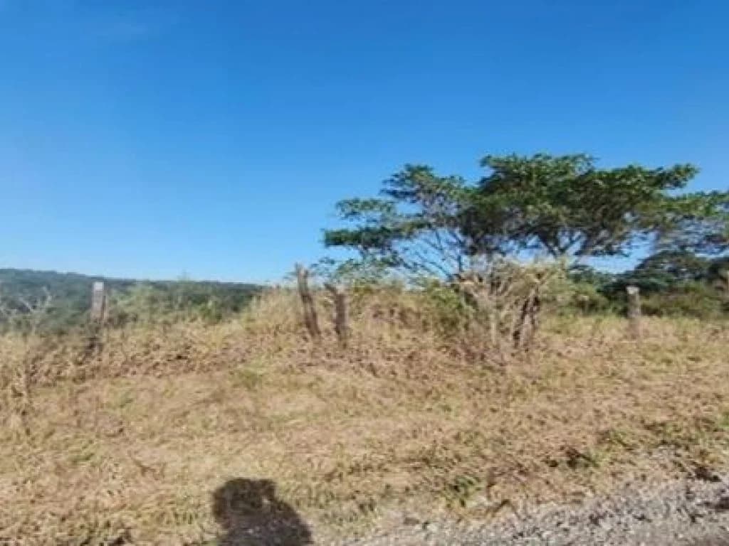 Terreno 2.686 m² - Cajamar-SP - Rua Caçapava, 09 e 29 - Paraíso - foto 2